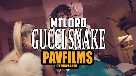 gucci snake lyrics